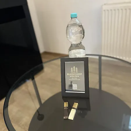 Pendler Montagewohnung Kandern, Loerrach, Basel D,ch, Fr Apartmán Holzen