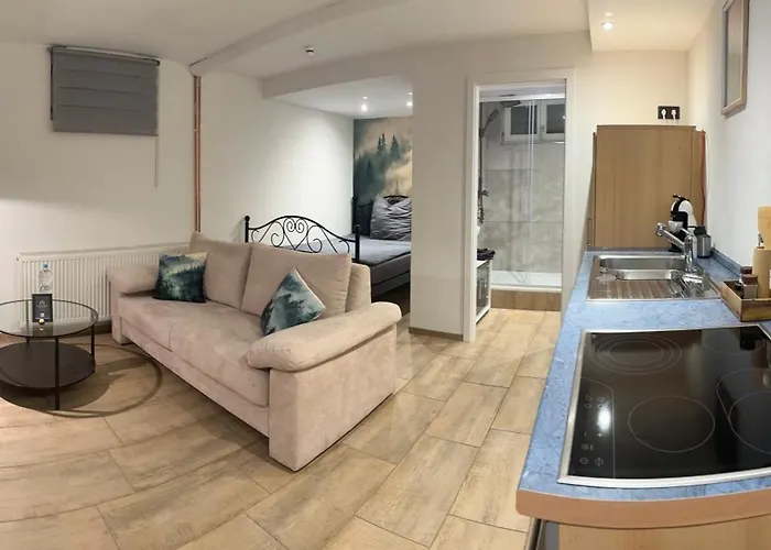 Pendler Montagewohnung Kandern, Loerrach, Basel D,ch, Fr * Holzen